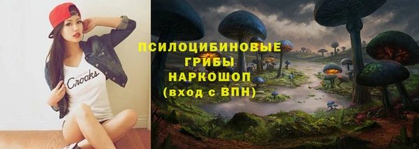 ПСИЛОЦИБИНОВЫЕ ГРИБЫ Баксан