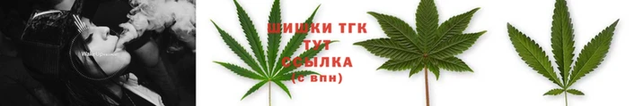 ПСИЛОЦИБИНОВЫЕ ГРИБЫ Баксан