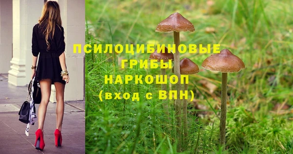 синтетический гашиш Балахна
