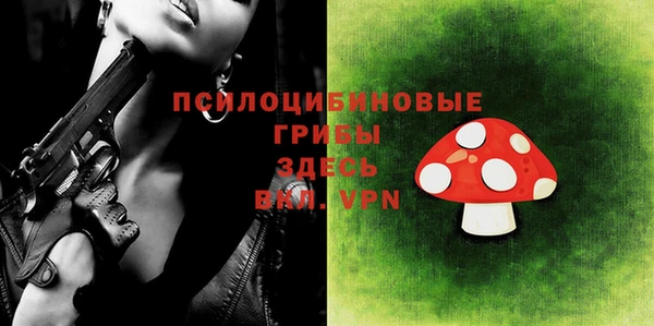 ПСИЛОЦИБИНОВЫЕ ГРИБЫ Баксан