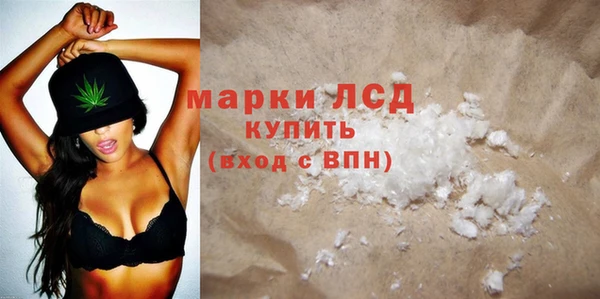 ПСИЛОЦИБИНОВЫЕ ГРИБЫ Баксан